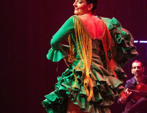 Stages d’été 2024 – Sylvia